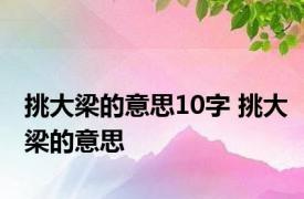 挑大梁的意思10字 挑大梁的意思 