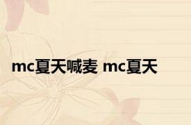 mc夏天喊麦 mc夏天 