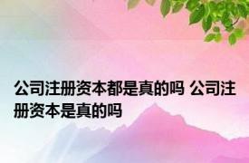 公司注册资本都是真的吗 公司注册资本是真的吗 