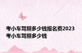 考小车驾照多少钱报名费2023 考小车驾照多少钱 