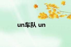 un车队 un 