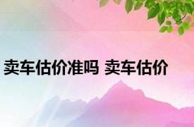 卖车估价准吗 卖车估价 