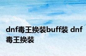 dnf毒王换装buff装 dnf毒王换装 