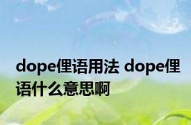 dope俚语用法 dope俚语什么意思啊 