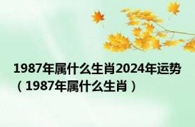 1987年属什么生肖2024年运势（1987年属什么生肖）