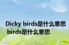 Dicky birds是什么意思 birds是什么意思 