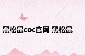 黑松鼠coc官网 黑松鼠 