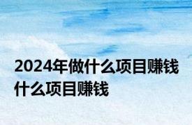 2024年做什么项目赚钱 什么项目赚钱 