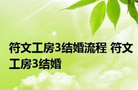 符文工房3结婚流程 符文工房3结婚 