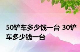 50铲车多少钱一台 30铲车多少钱一台 