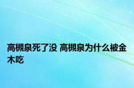 高槻泉死了没 高槻泉为什么被金木吃 