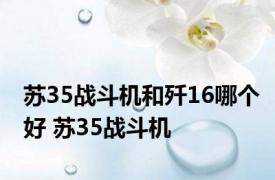 苏35战斗机和歼16哪个好 苏35战斗机 