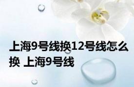 上海9号线换12号线怎么换 上海9号线 