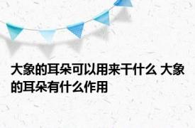 大象的耳朵可以用来干什么 大象的耳朵有什么作用 