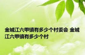 金城江六甲镇有多少个村委会 金城江六甲镇有多少个村 