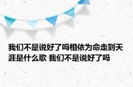 我们不是说好了吗相依为命走到天涯是什么歌 我们不是说好了吗 