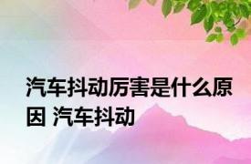 汽车抖动厉害是什么原因 汽车抖动 