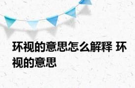 环视的意思怎么解释 环视的意思 