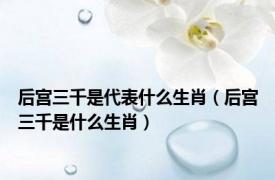 后宫三千是代表什么生肖（后宫三千是什么生肖）