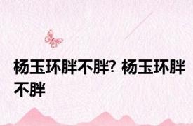 杨玉环胖不胖? 杨玉环胖不胖 