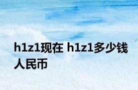 h1z1现在 h1z1多少钱人民币 