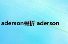 aderson骨折 aderson 