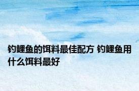 钓鲤鱼的饵料最佳配方 钓鲤鱼用什么饵料最好 