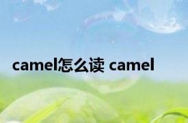 camel怎么读 camel 