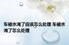 车被水淹了应该怎么处理 车被水淹了怎么处理 