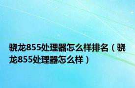 骁龙855处理器怎么样排名（骁龙855处理器怎么样）