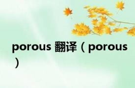 porous 翻译（porous）