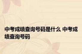 中考成绩查询号码是什么 中考成绩查询号码 