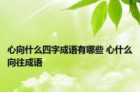 心向什么四字成语有哪些 心什么向往成语