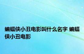 蝙蝠侠小丑电影叫什么名字 蝙蝠侠小丑电影 