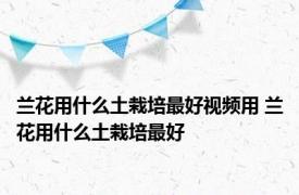 兰花用什么土栽培最好视频用 兰花用什么土栽培最好 