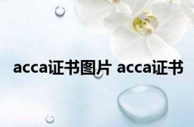 acca证书图片 acca证书 