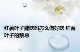 红薯叶子能吃吗怎么做好吃 红薯叶子的禁忌 