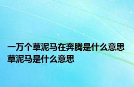 一万个草泥马在奔腾是什么意思 草泥马是什么意思 