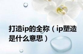 打造ip的全称（ip塑造是什么意思）