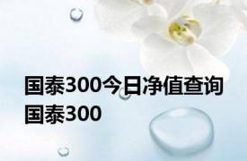 国泰300今日净值查询 国泰300 