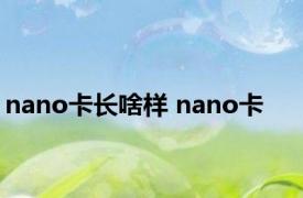 nano卡长啥样 nano卡 