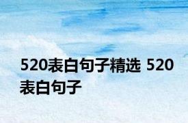 520表白句子精选 520表白句子