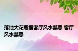 落地大花瓶摆客厅风水禁忌 客厅风水禁忌 