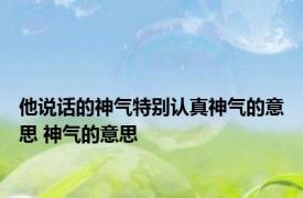 他说话的神气特别认真神气的意思 神气的意思 