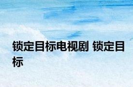 锁定目标电视剧 锁定目标 