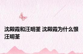 沈殿霞和汪明荃 沈殿霞为什么恨汪明荃 