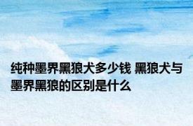 纯种墨界黑狼犬多少钱 黑狼犬与墨界黑狼的区别是什么