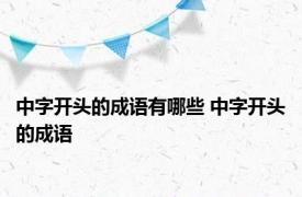 中字开头的成语有哪些 中字开头的成语 