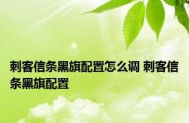 刺客信条黑旗配置怎么调 刺客信条黑旗配置 