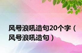 风号浪吼造句20个字（风号浪吼造句）